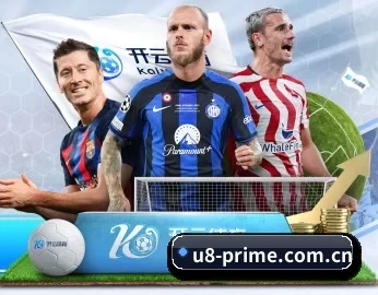 u8国际 APP 深度功能(U8 INTERNATIONAL)